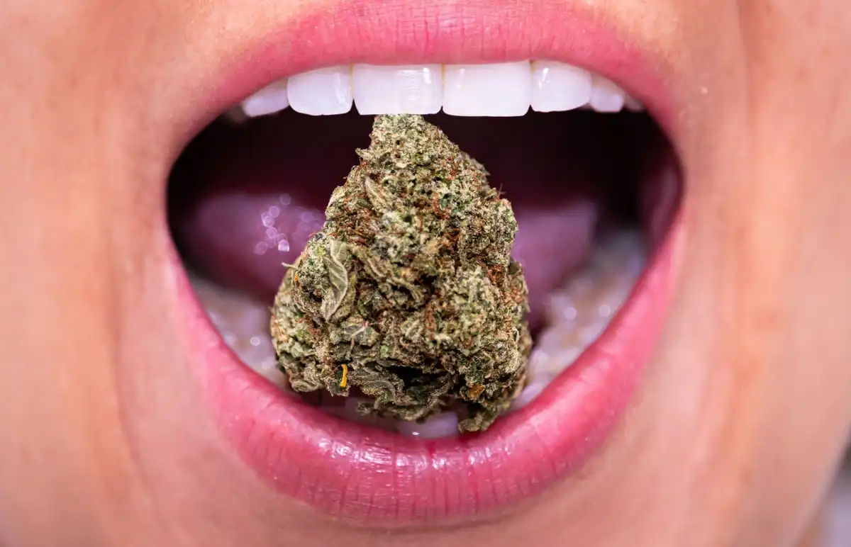 Does Smoking Weed Affect Your Gums And Teeth?
